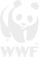 WWF